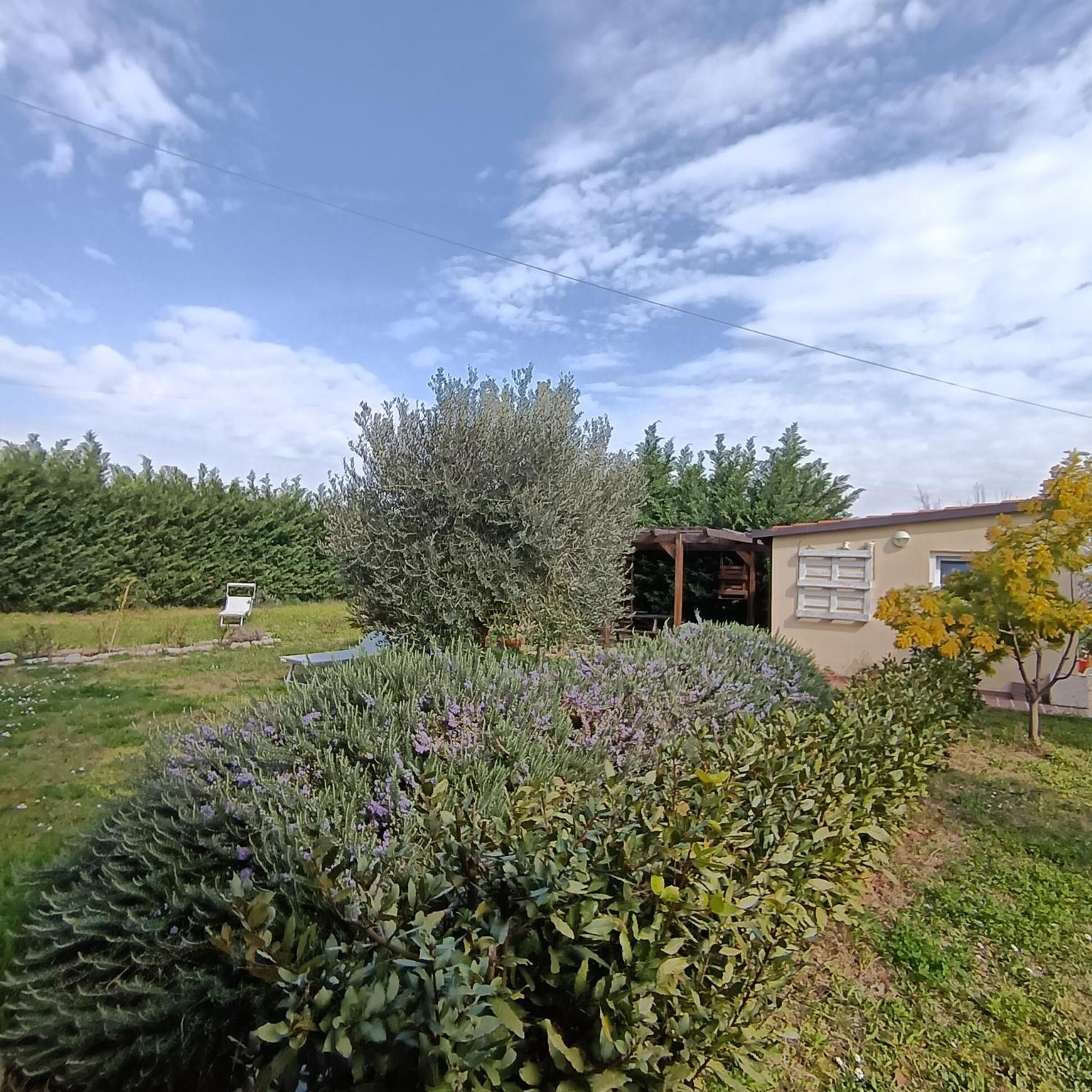 La Quercia Apartment Ortona Exterior photo